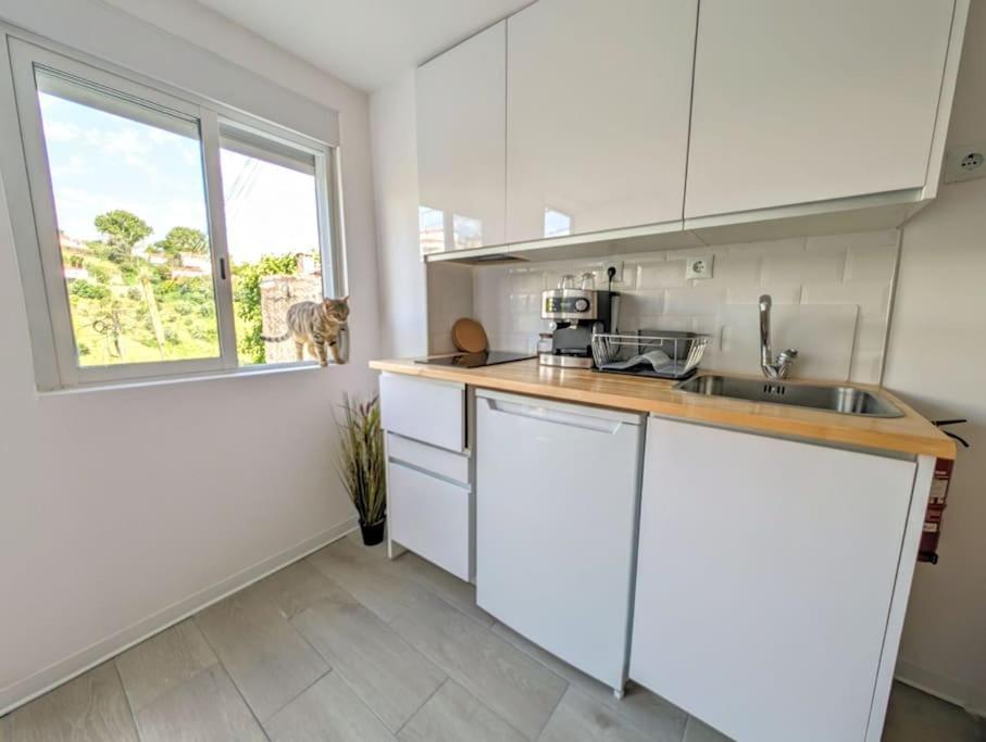 Estudio Vila Isabel - B Coimbra Eksteriør billede